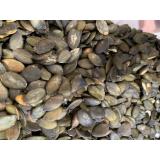 GRAINES DE COURGES TOASTEES